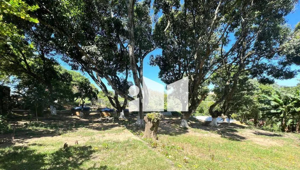 Chácara, 3 quartos, 10000 m² - Foto 14