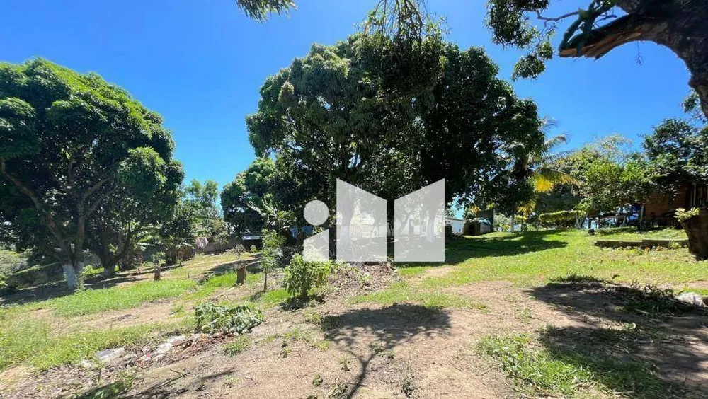 Chácara, 3 quartos, 10000 m² - Foto 15