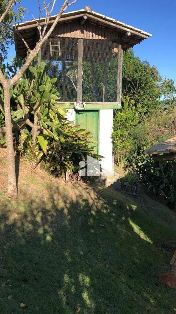 Chácara, 3 quartos, 4380 m² - Foto 3