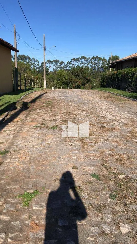 Chácara, 3 quartos, 4380 m² - Foto 4