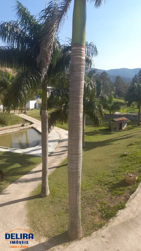 Chácara, 5 quartos, 3 hectares - Foto 1