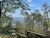 Terreno, 1000 m² - Foto 4