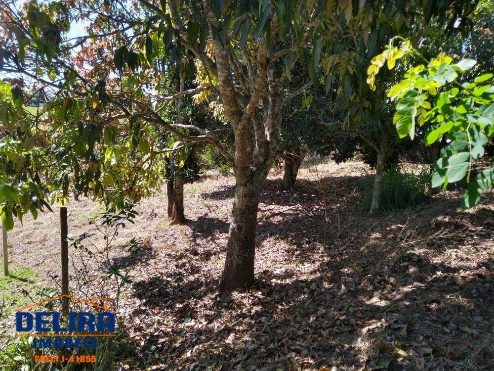 Terreno, 976 m² - Foto 4