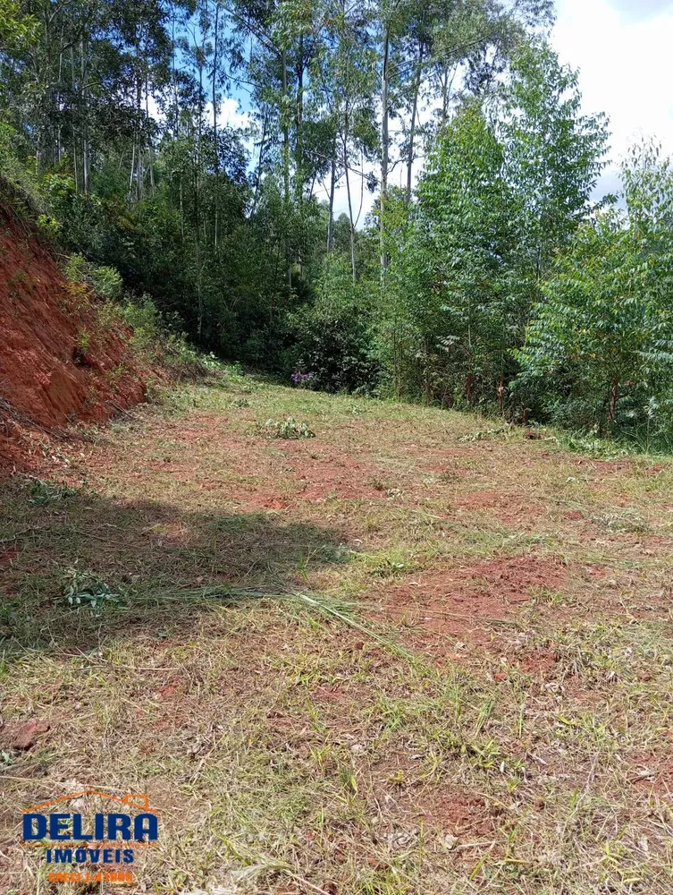 Fazenda à venda com 2 quartos, 155m² - Foto 10