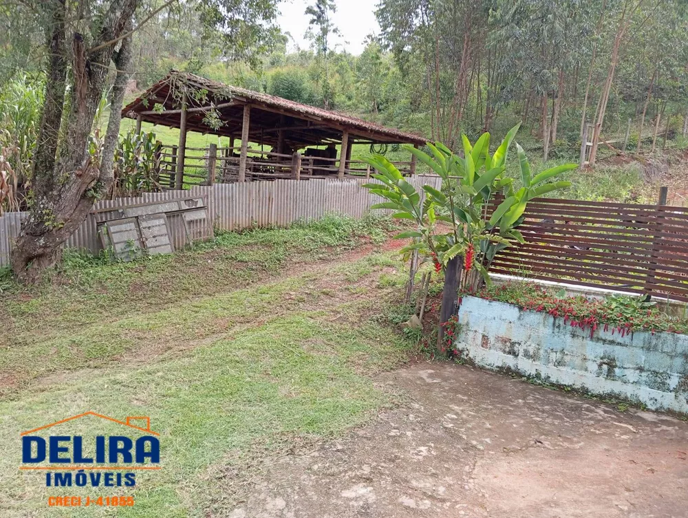 Fazenda à venda com 2 quartos, 155m² - Foto 22