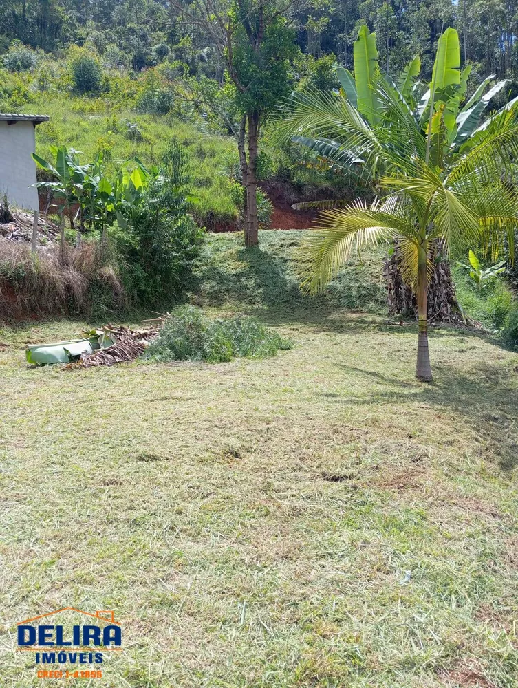 Fazenda à venda com 2 quartos, 155m² - Foto 7