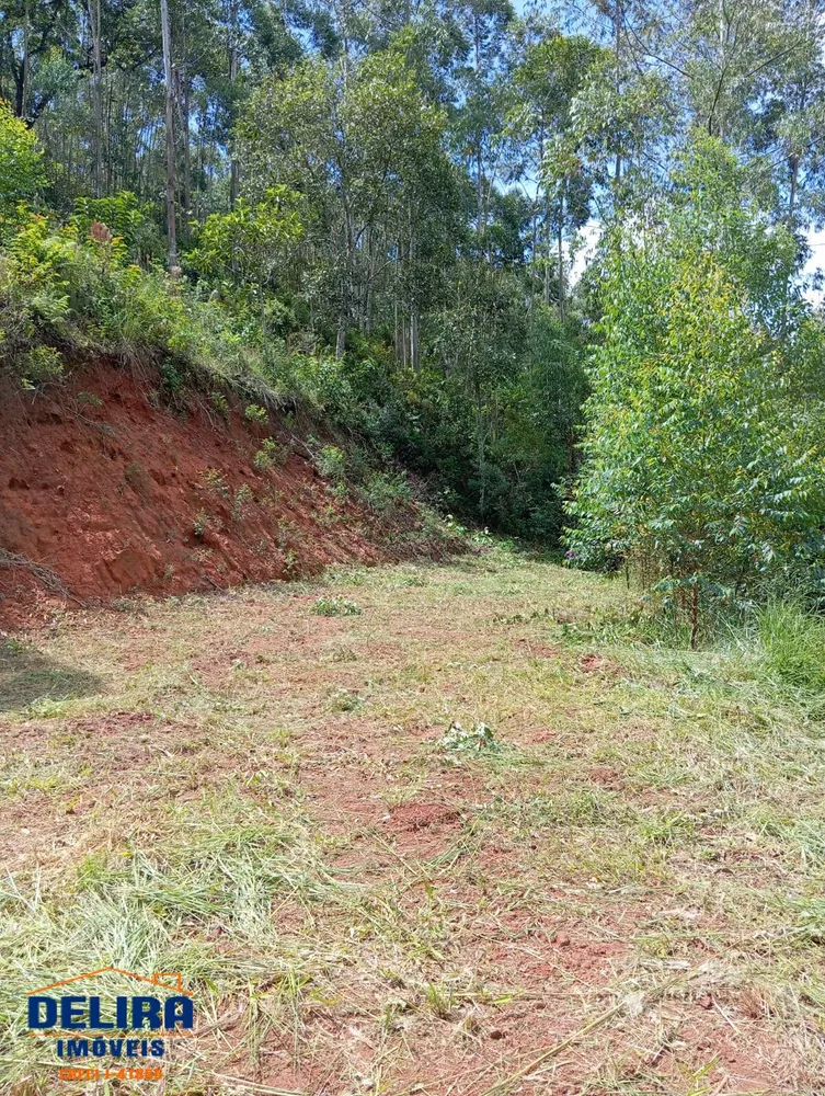 Fazenda à venda com 2 quartos, 155m² - Foto 15