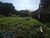 Terreno, 250 m² - Foto 1