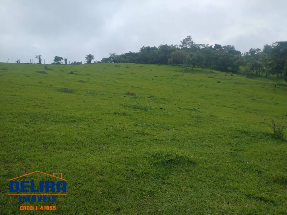 Sítio, 1 quarto, 2 hectares - Foto 4