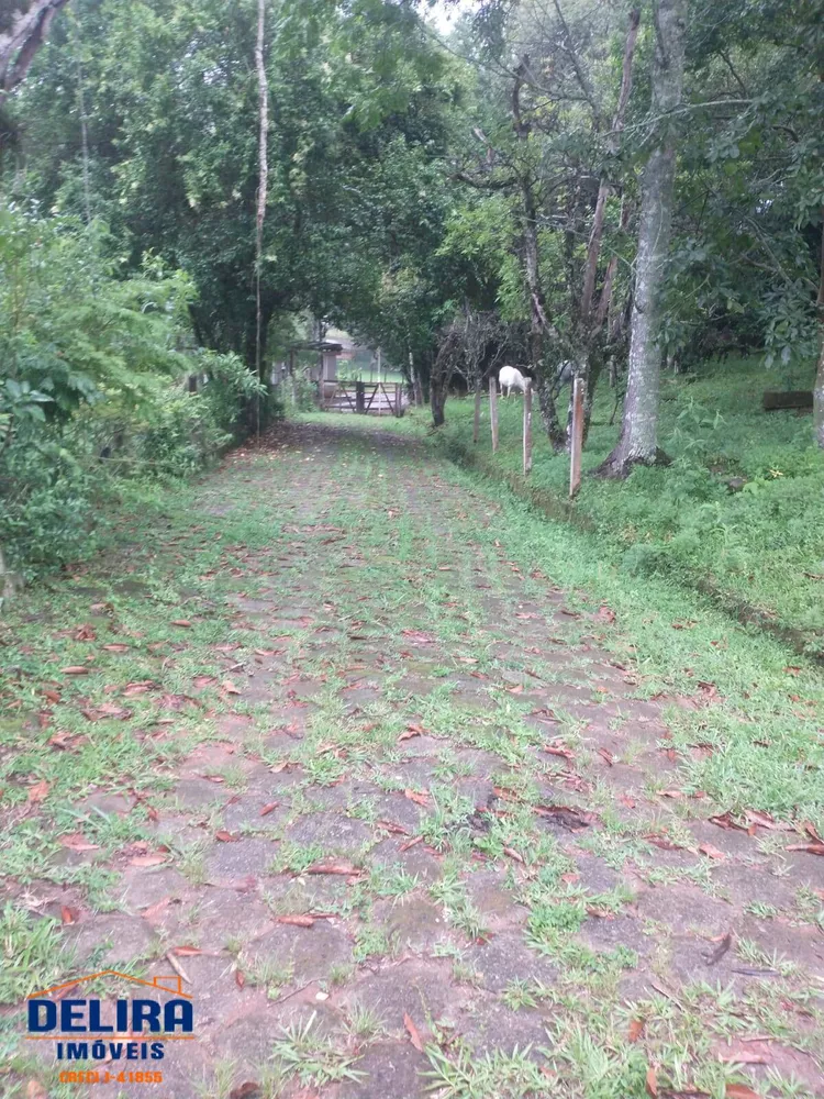 Fazenda à venda com 1 quarto, 42000m² - Foto 8