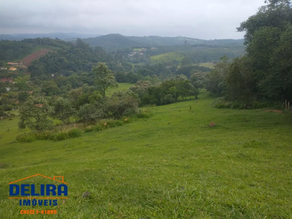 Fazenda à venda com 1 quarto, 42000m² - Foto 19