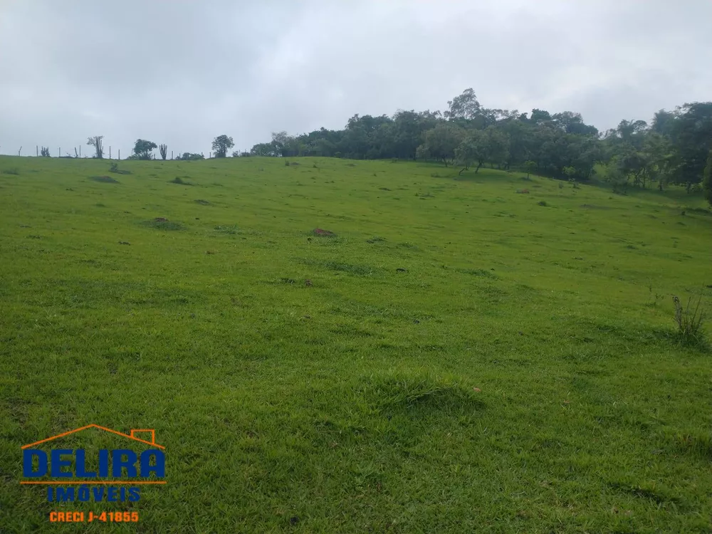 Fazenda à venda com 1 quarto, 42000m² - Foto 20