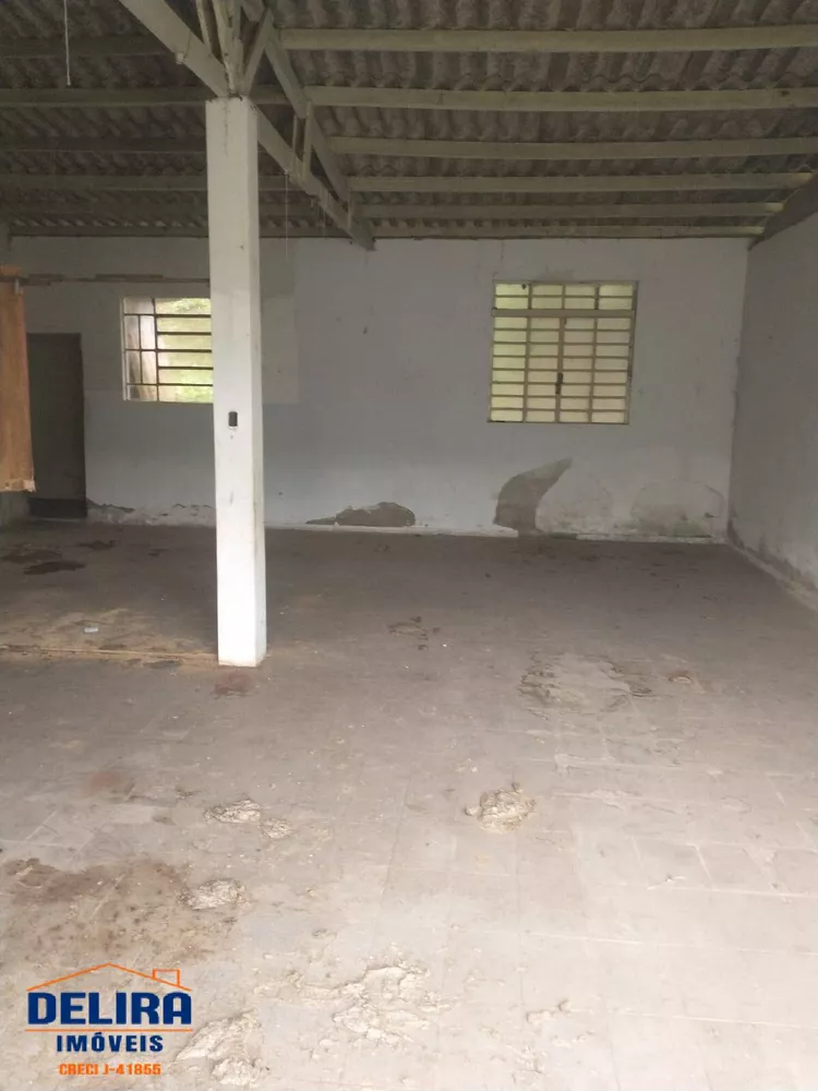 Fazenda à venda com 1 quarto, 42000m² - Foto 5