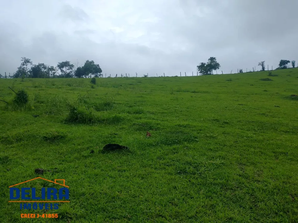 Fazenda à venda com 1 quarto, 42000m² - Foto 16