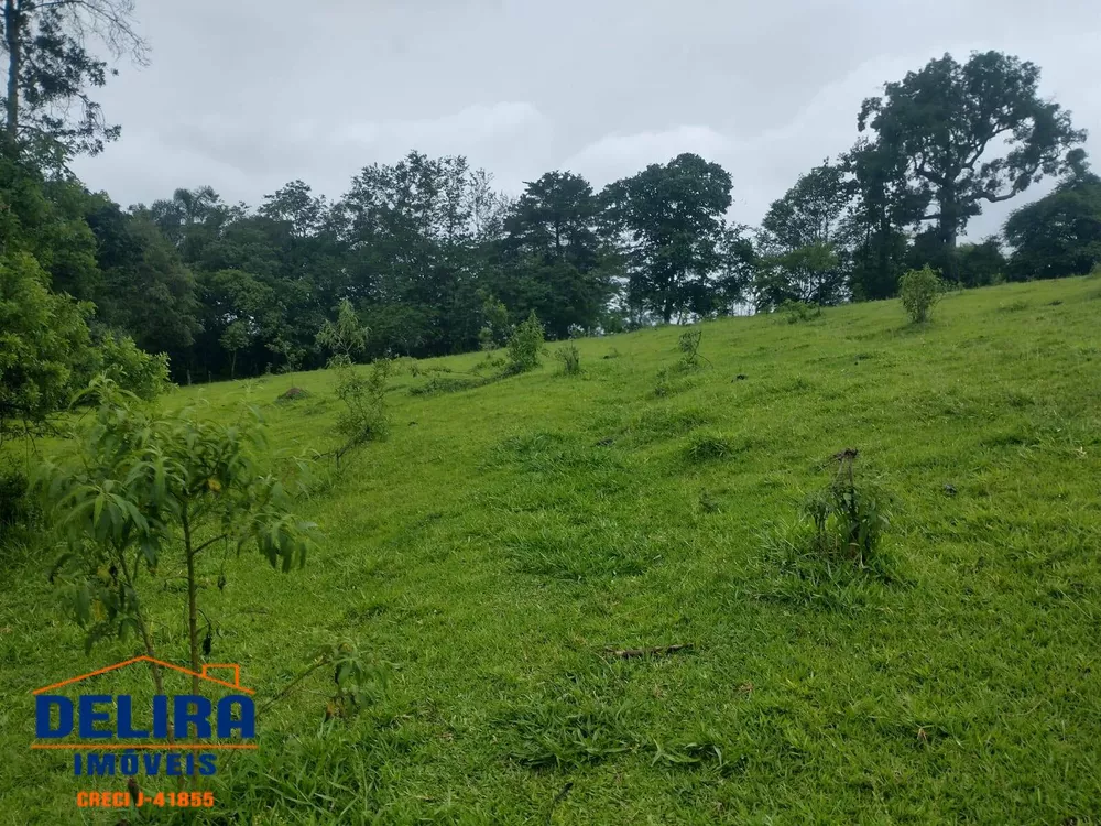 Fazenda à venda com 1 quarto, 42000m² - Foto 21