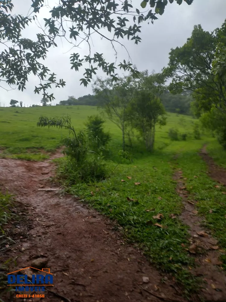 Fazenda à venda com 1 quarto, 42000m² - Foto 14