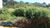 Terreno, 139 m² - Foto 1