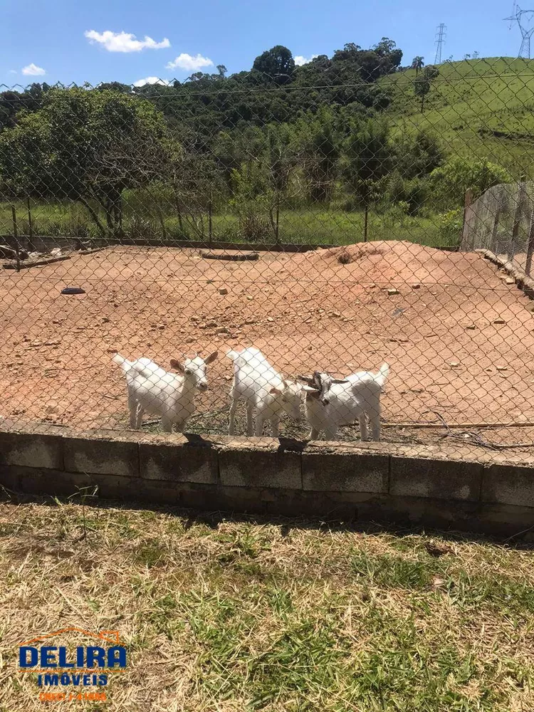 Fazenda à venda com 7 quartos, 1200m² - Foto 10