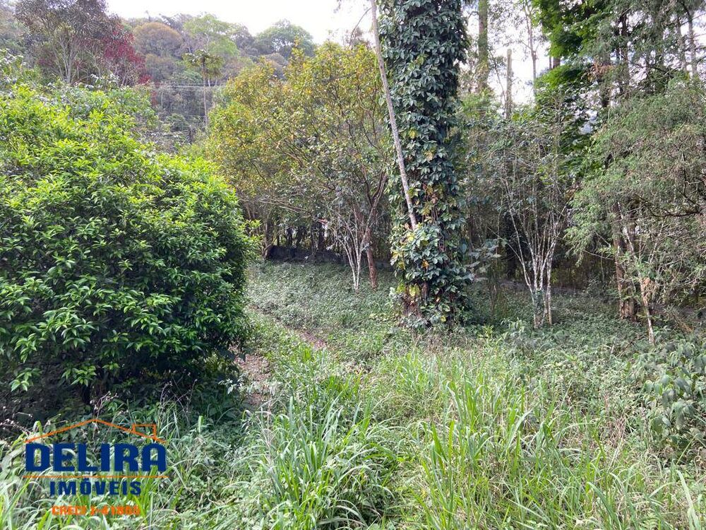 Sítio à venda com 4 quartos, 180m² - Foto 8