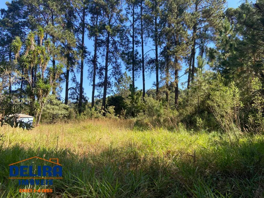 Sítio, 2 quartos, 2 hectares - Foto 3