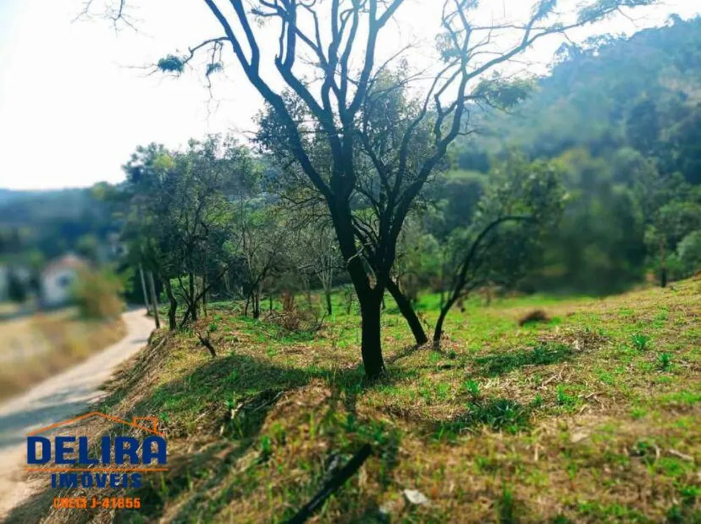 Terreno, 1000 m² - Foto 5