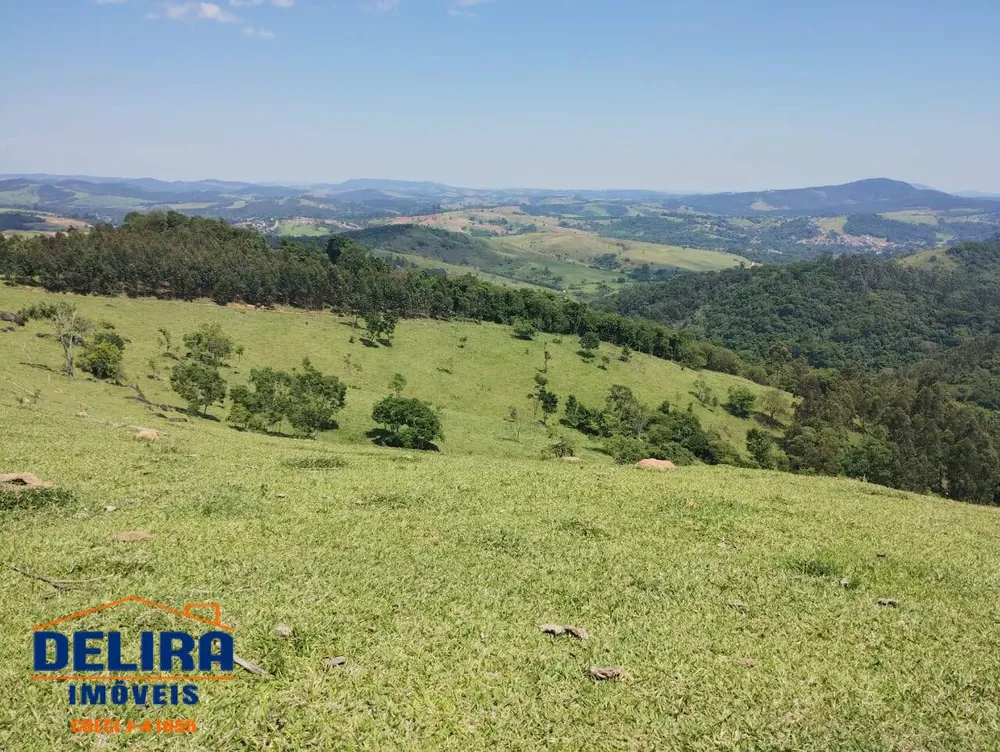 Terreno, 2 hectares - Foto 4