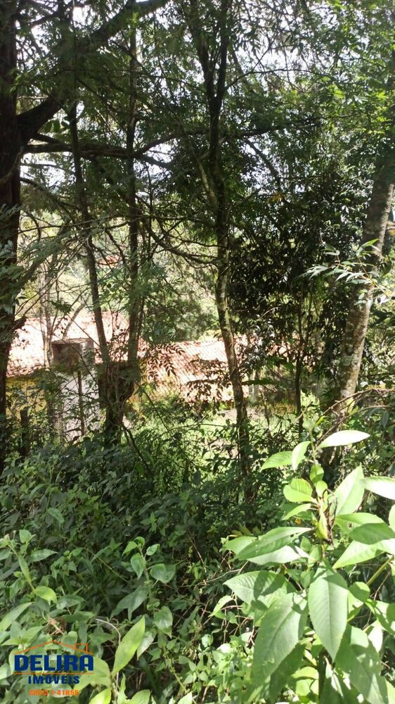 Terreno, 1002 m² - Foto 2