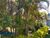 Terreno, 400 m² - Foto 1