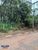 Terreno, 320 m² - Foto 4