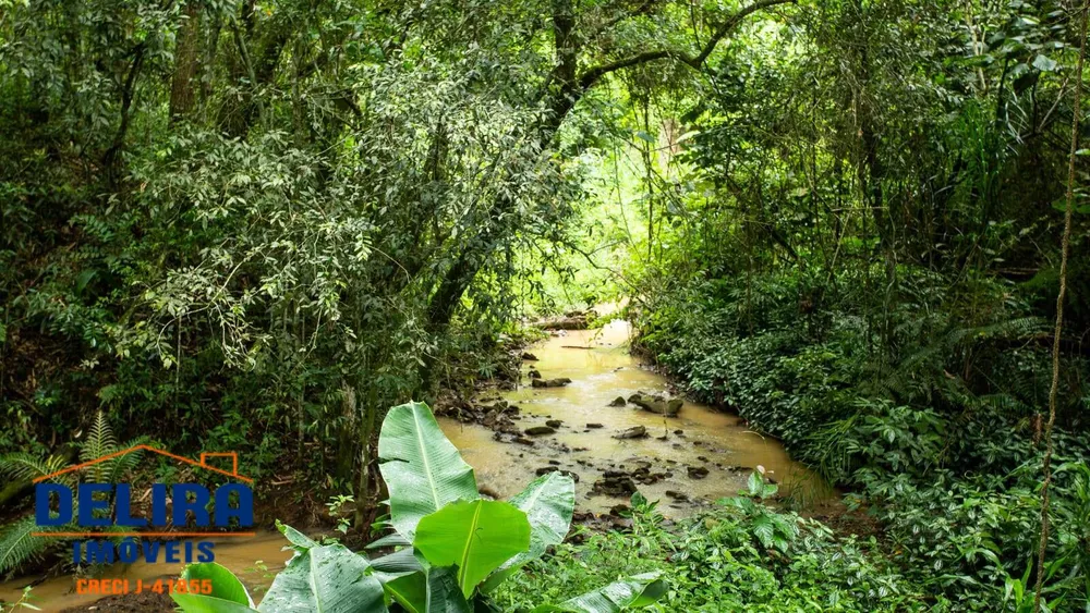 Fazenda à venda com 8 quartos, 1500m² - Foto 7