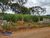 Terreno, 500 m² - Foto 6