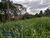 Terreno, 500 m² - Foto 1