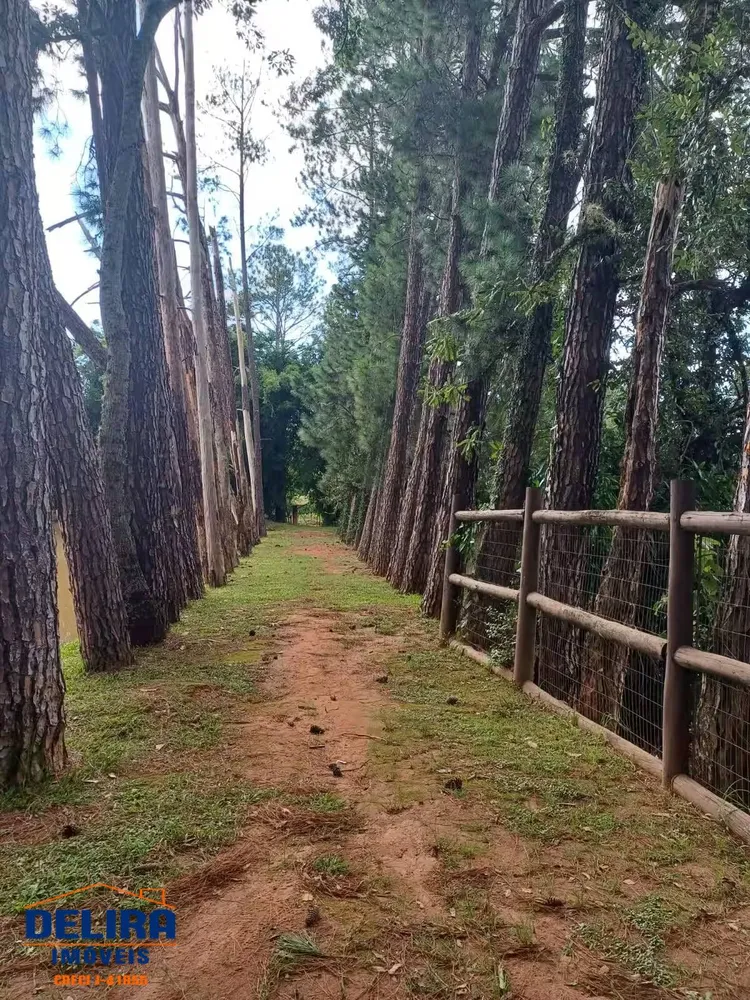 Chácara, 3 quartos, 980 m² - Foto 3
