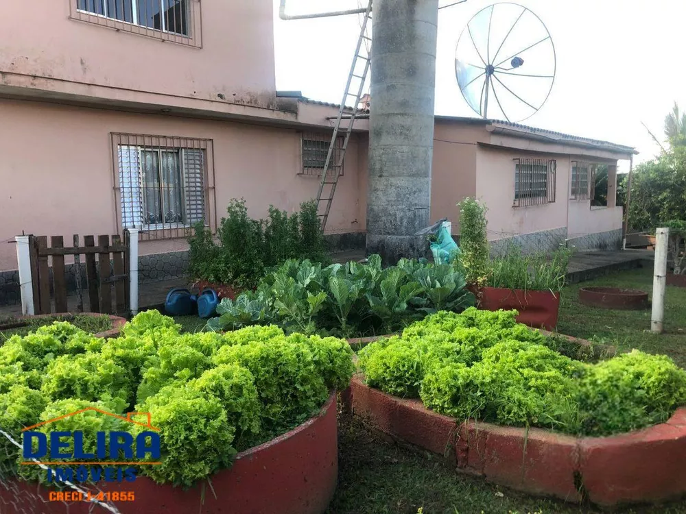 Fazenda à venda com 3 quartos, 328m² - Foto 18