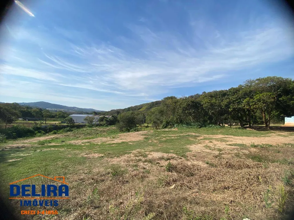 Terreno, 3 hectares - Foto 6