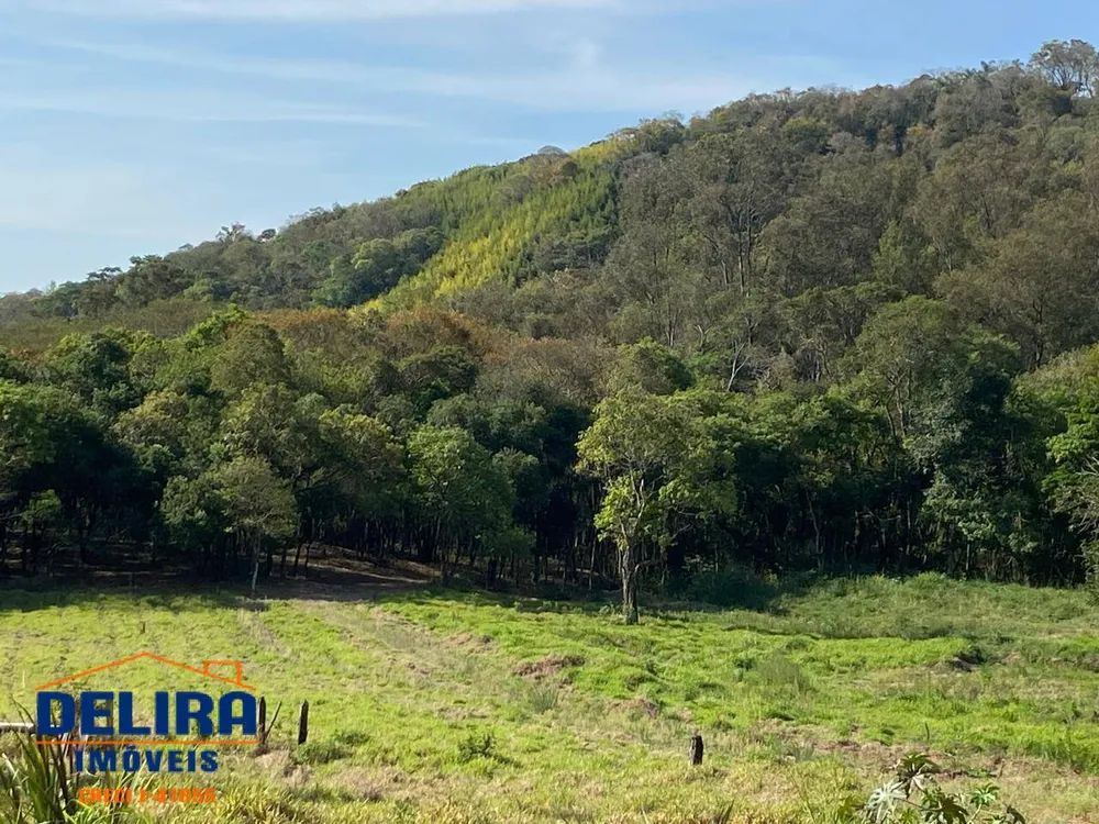 Terreno, 3 hectares - Foto 1