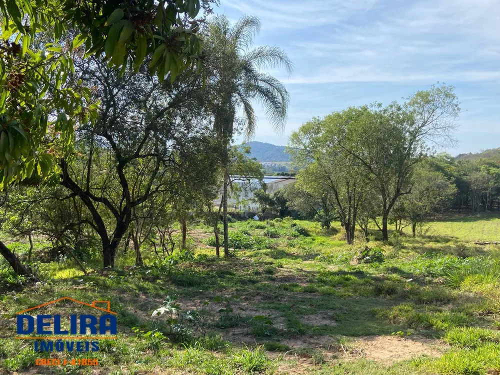 Terreno, 3 hectares - Foto 4