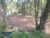 Terreno, 1546 m² - Foto 3