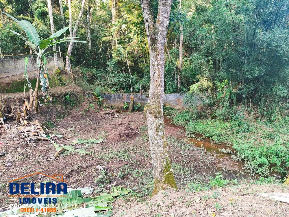 Chácara, 4 quartos, 3600 m² - Foto 7