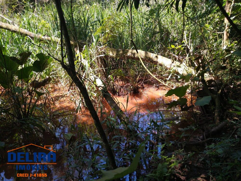 Chácara à venda com 2 quartos, 640m² - Foto 13