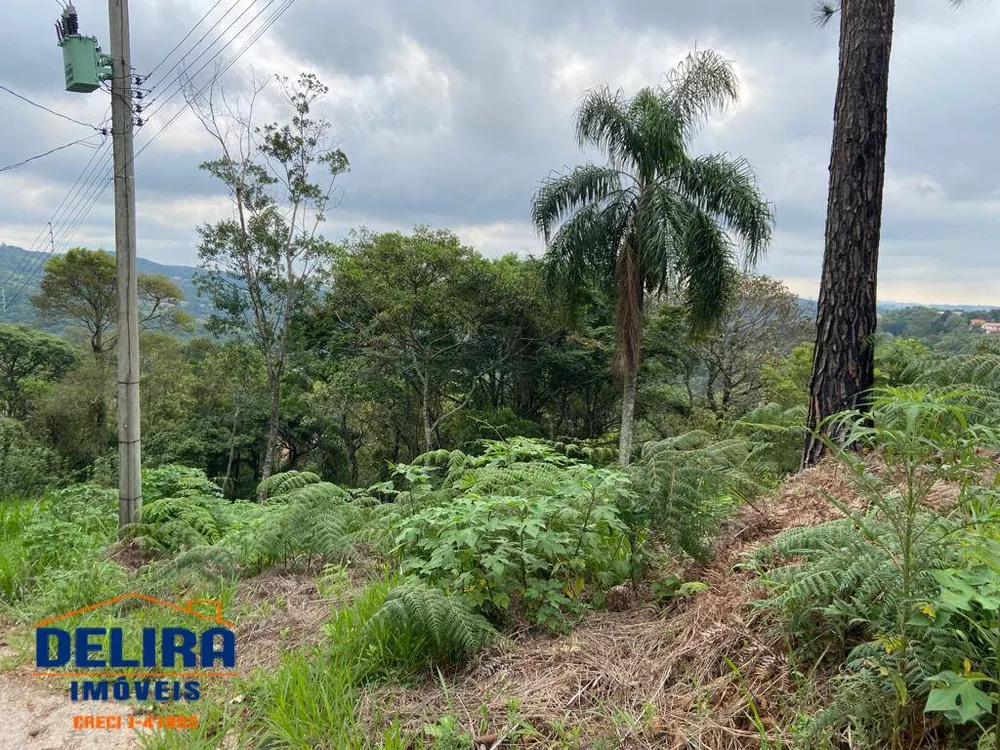 Terreno à venda, 1555m² - Foto 3