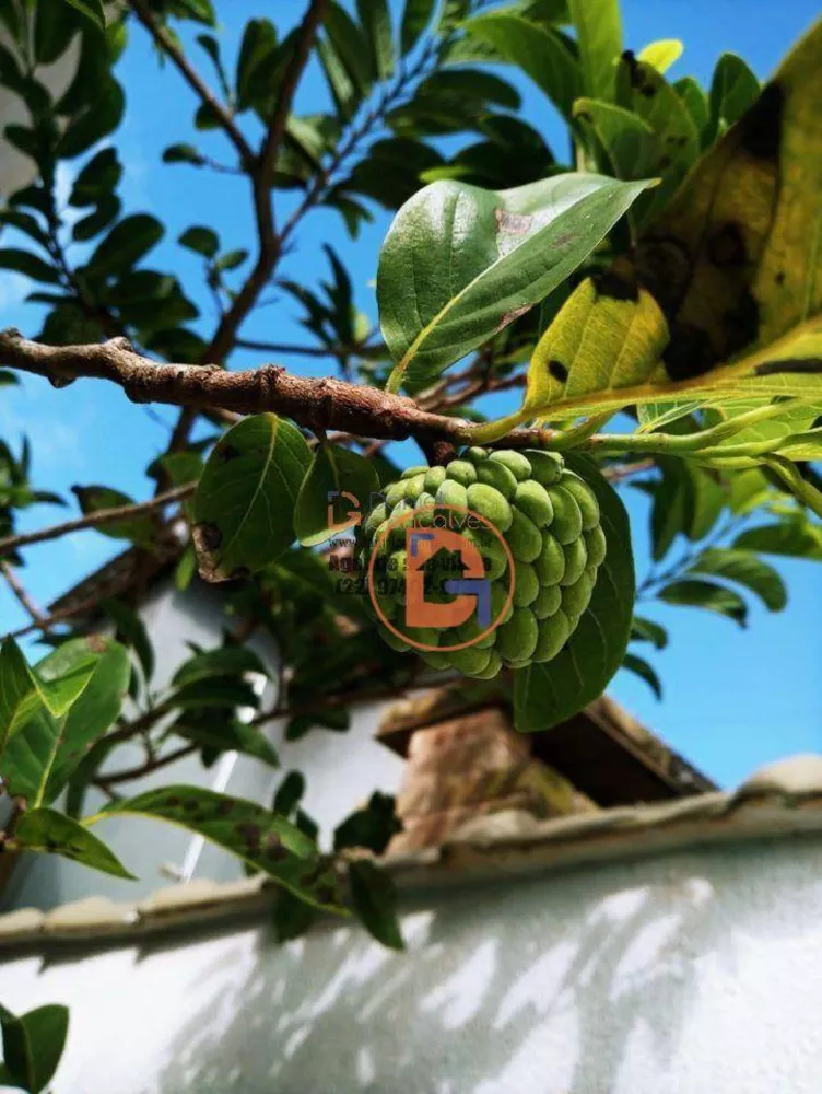 Casa, 4 quartos, 323 m² - Foto 10