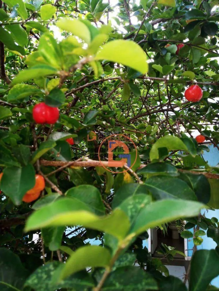 Casa, 4 quartos, 323 m² - Foto 12