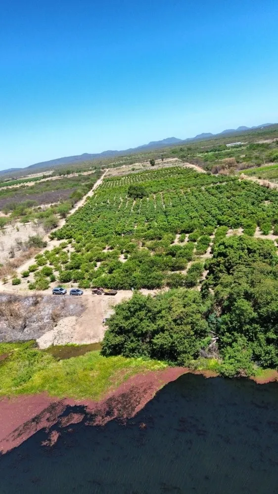 Fazenda - Foto 1