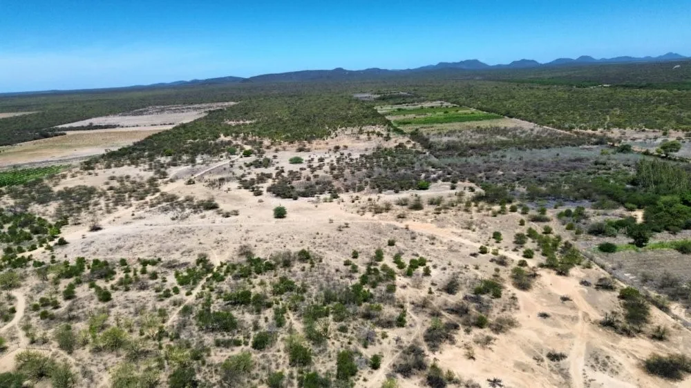 Fazenda - Foto 2