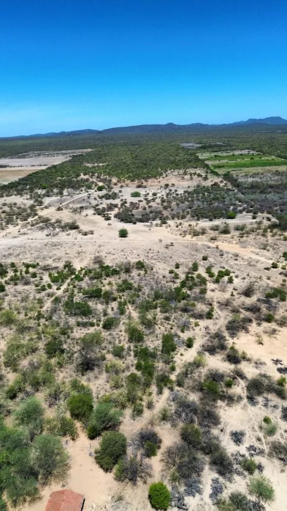 Fazenda - Foto 5
