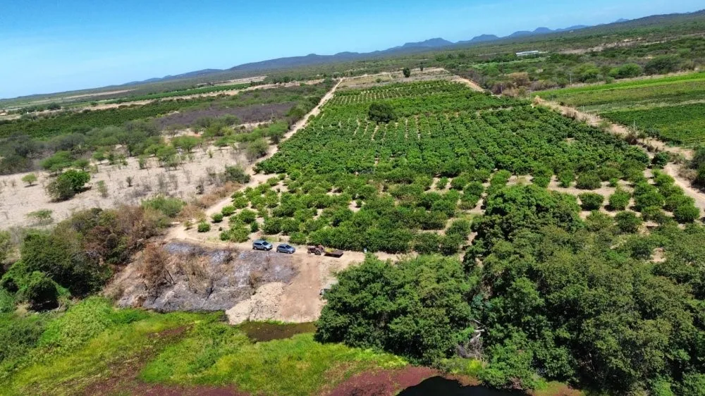 Fazenda - Foto 3
