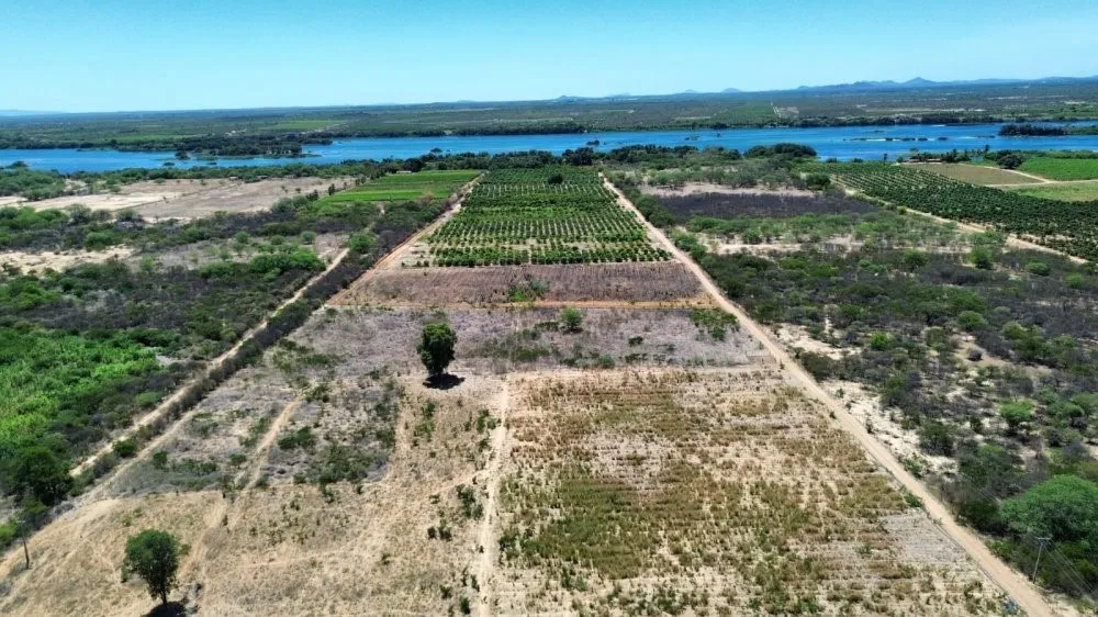 Fazenda - Foto 6