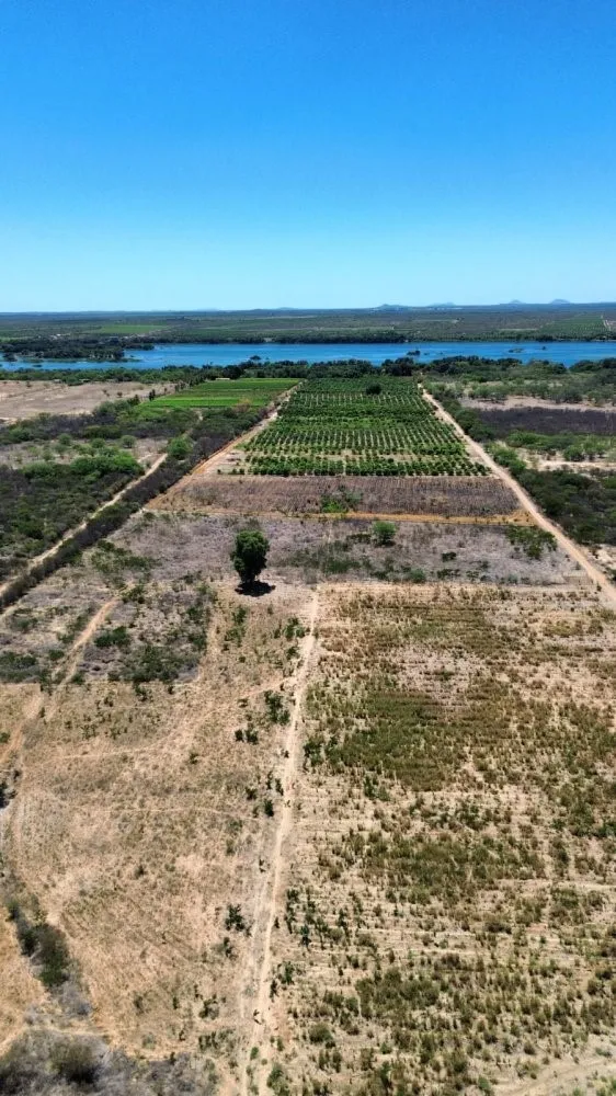 Fazenda - Foto 4