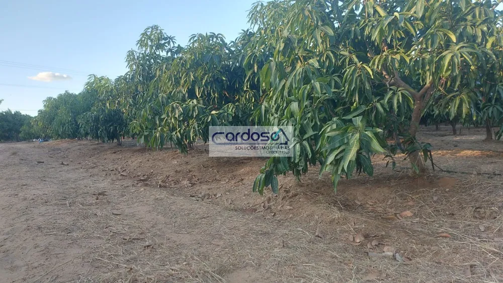 Chácara, 1 quarto - Foto 5